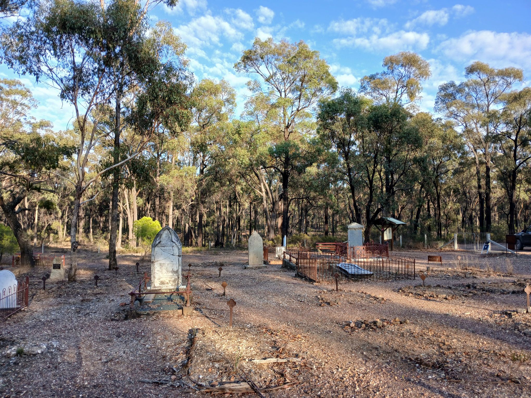 Whroo Cemetary - Stunted pines, date of planting not known